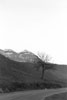 pavione