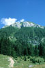 pavione sotto